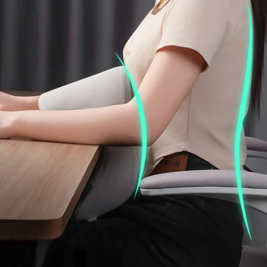 Memory Foam Travel Pillow